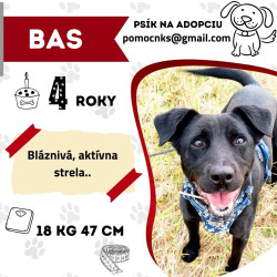 BAS