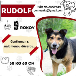 RUDOLF