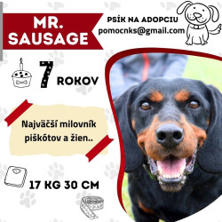 Mr. SAUSAGE