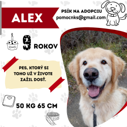 ALEX