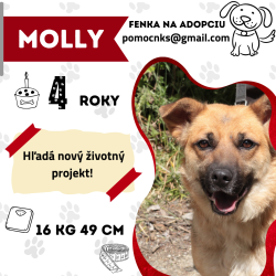 MOLLY