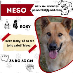NESO
