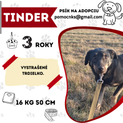 TINDER