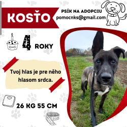 KOSŤO