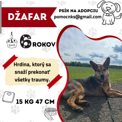 DŽAFAR