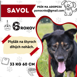 SAVOL