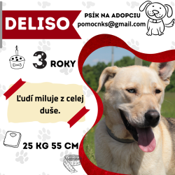 DELISO