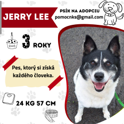JERRY LEE