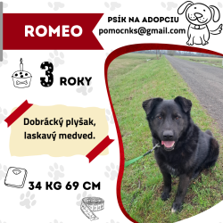 ROMEO