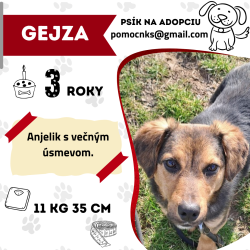 GEJZA