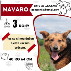 NAVARO