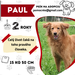 PAUL