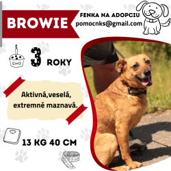 BROWIE