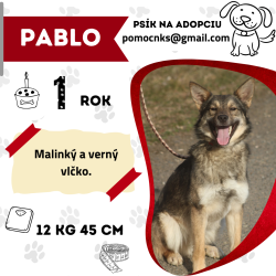 PABLO