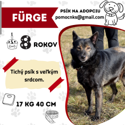 ️FURGE