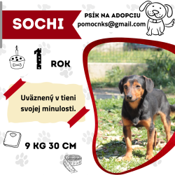 SOCHI