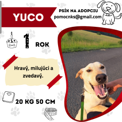 YUCO