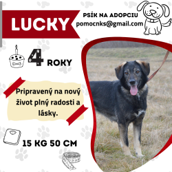 LUCKY