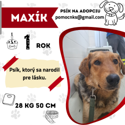 MAXÍK