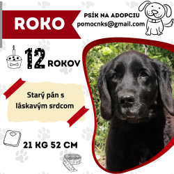 ROKO
