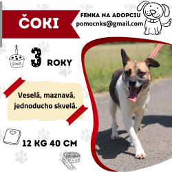 ČOKI