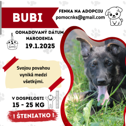 BUBI