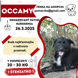 OCCAMY