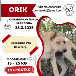 ORIK