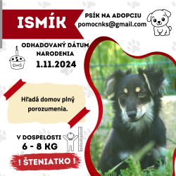 ISMÍK