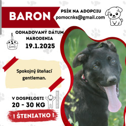 BARON
