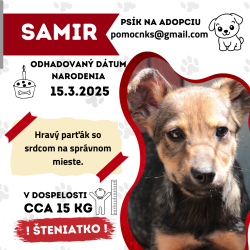 SAMIR