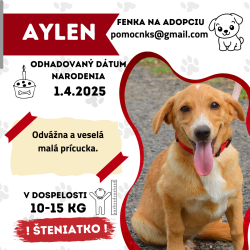 AYLEN