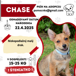 CHASE