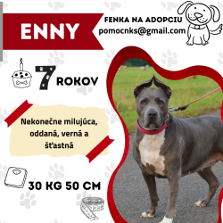 ENNY