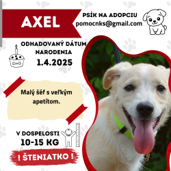 AXEL