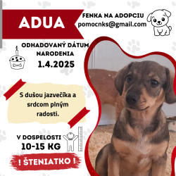 ADUA