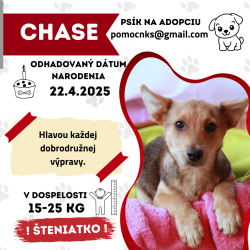 CHASE