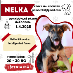 NELKA