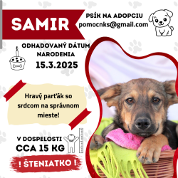 SAMIR