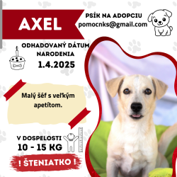 AXEL