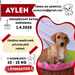 AYLEN