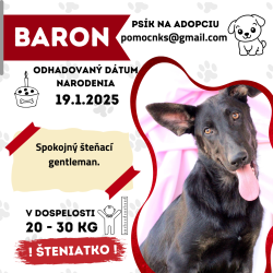 BARON