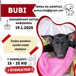 BUBI