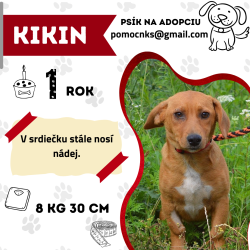 KIKIN