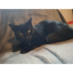 SALEM
