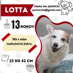LOTTA