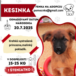 KESINKA