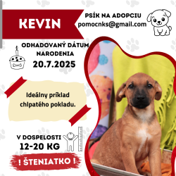 KEVIN