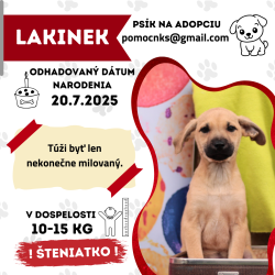 LAKINEK