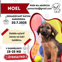 NOEL